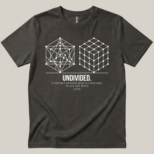 Undivided