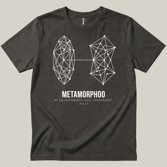 Metamorphoo - Caccoon