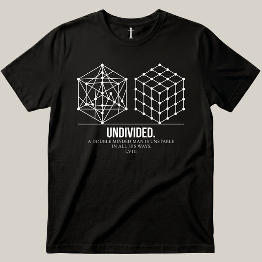 Undivided
