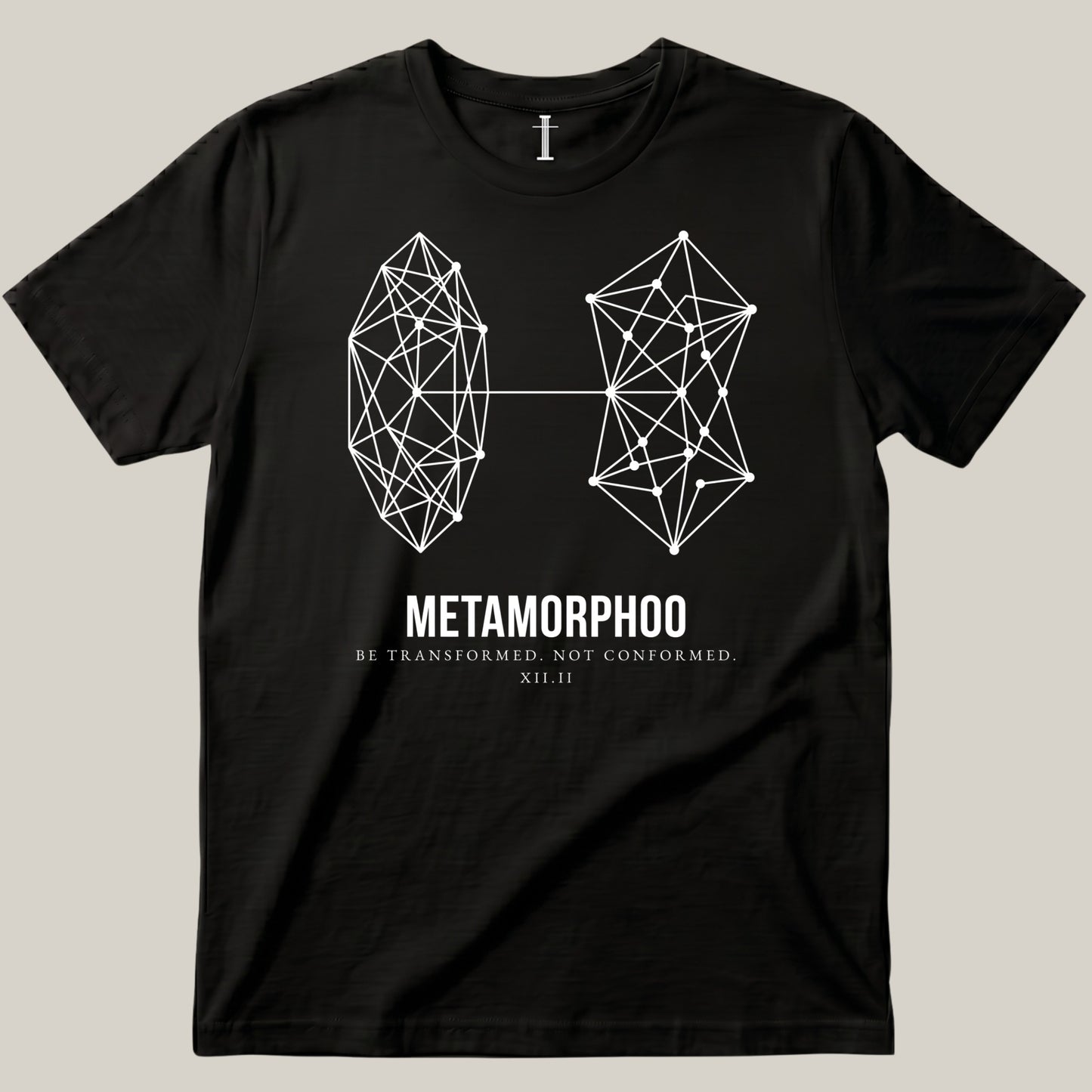 Metamorphoo - Caccoon
