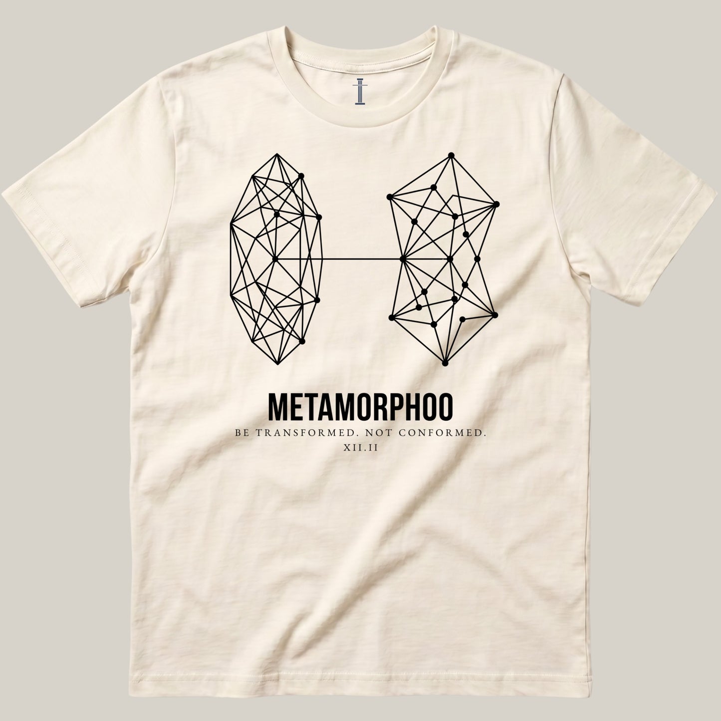 Metamorphoo - Caccoon