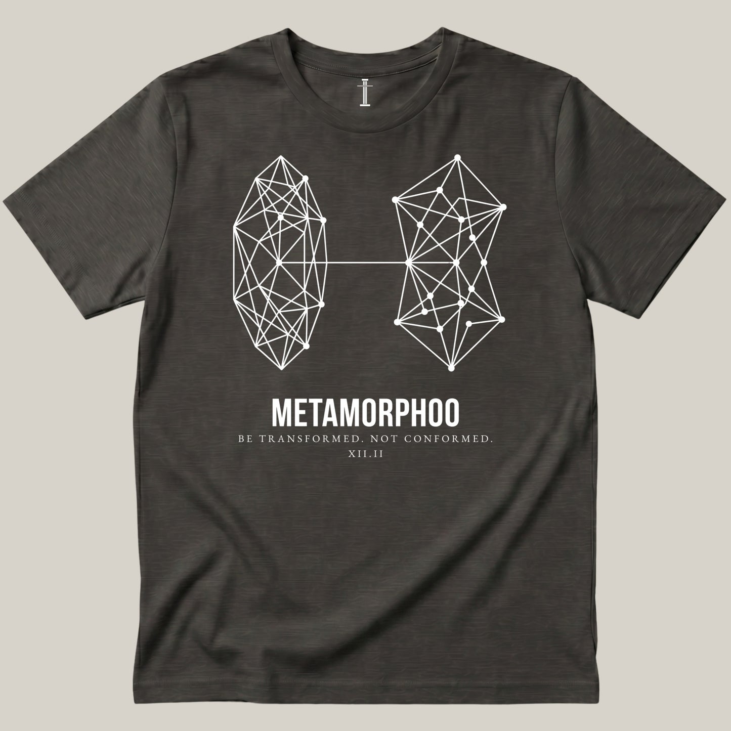 Metamorphoo - Caccoon